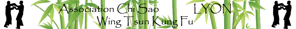 Association Chi Sao Lyon Wing Tsun Kung Fu